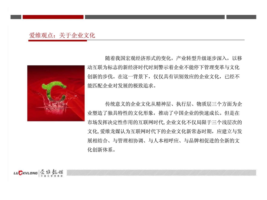 某大型发电集团企业文化建设咨询项目.ppt_第3页