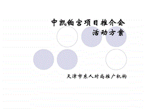 中凯铂宫项目推介会活动方案.ppt