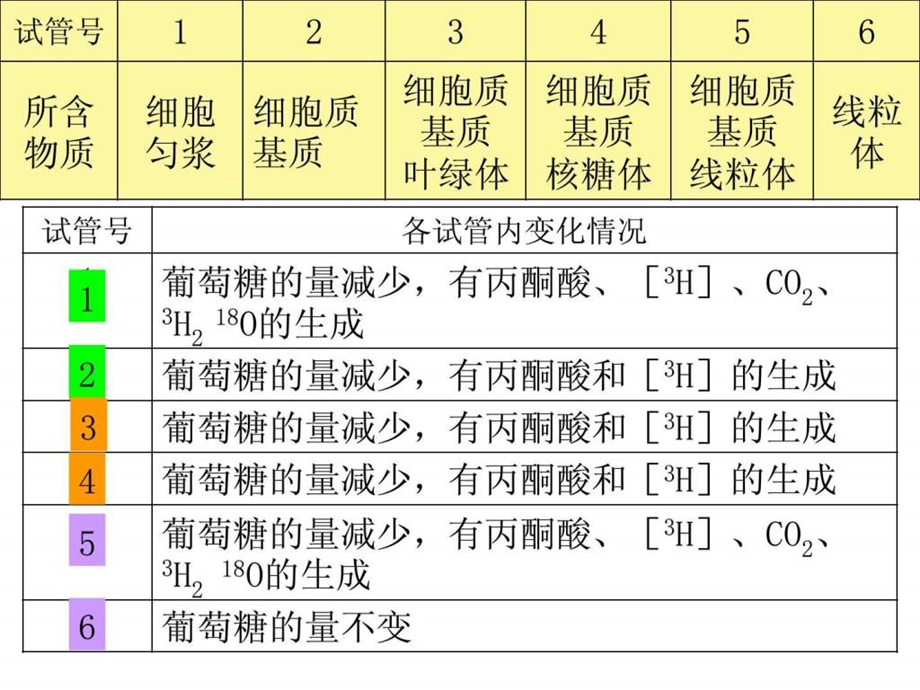 5.3.2细胞呼吸过程原理及应用.ppt.ppt_第2页