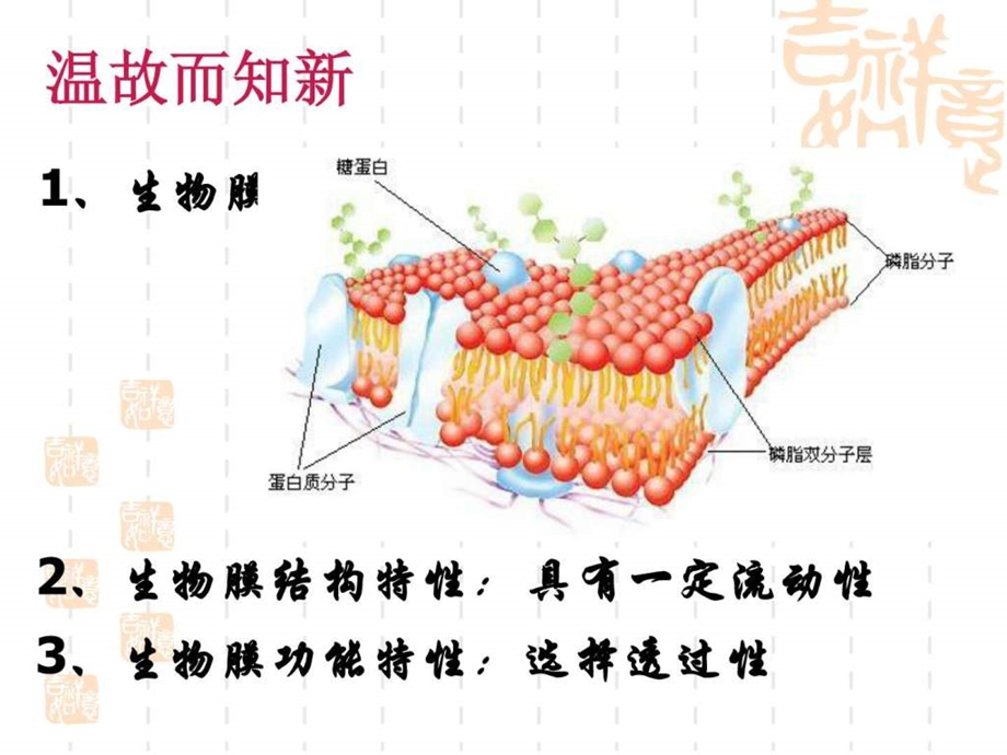 公开课物质跨膜运输的方式ppt.ppt.ppt_第2页