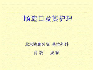 结肠造口及其护理图文.ppt.ppt