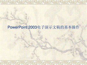 PowerPoint2003演示.ppt
