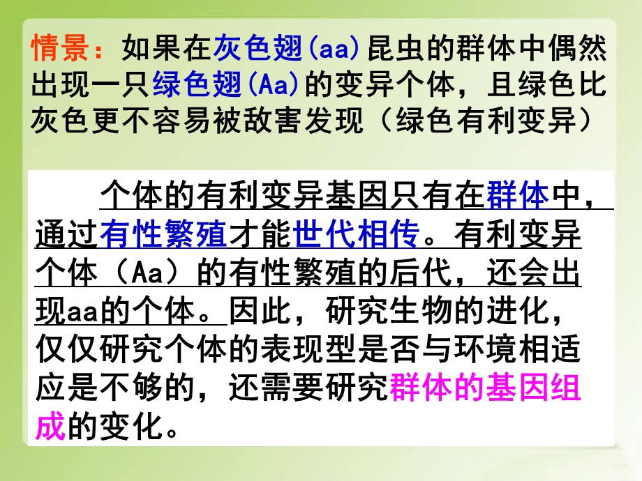 人教版必修二第七章第二节现代生物进化理论的主要内容（共42张PPT）.ppt_第3页