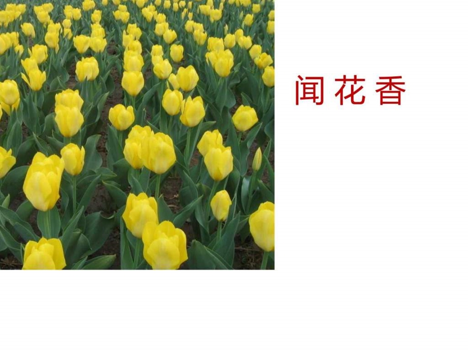 小主持人的气息练习完整课件.ppt.ppt_第2页