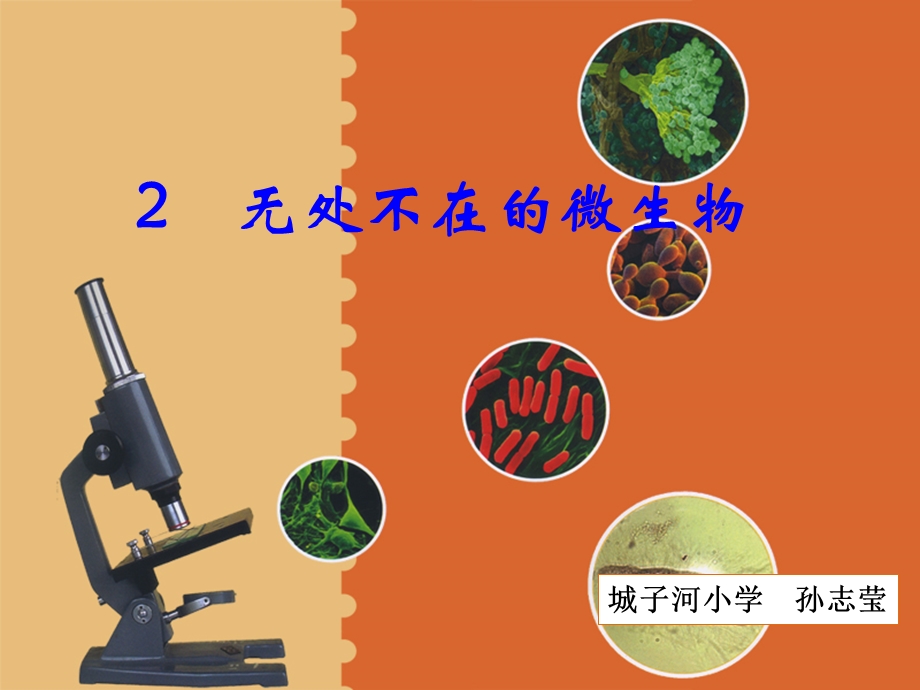 五下第三单元_2无处不在的微生物_教学课件1.ppt_第1页