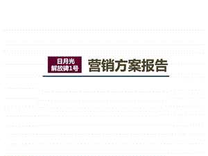 日月光解放碑1号营销方案.ppt