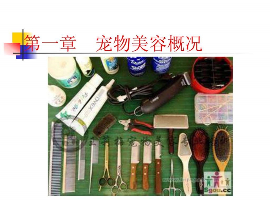 宠物美容清洁工具介绍图文.ppt.ppt_第1页