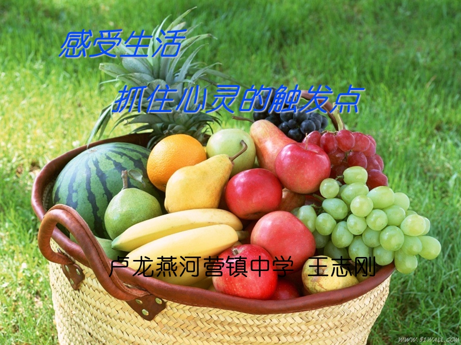 感受生活_抓住心灵的触发点.ppt_第1页