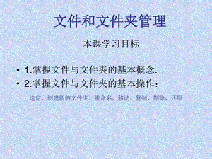 文件和文件夹的管理教学课件初中信息技术精品图文.ppt.ppt