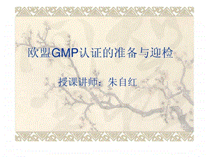 欧盟GMP认证的准备与迎检.ppt