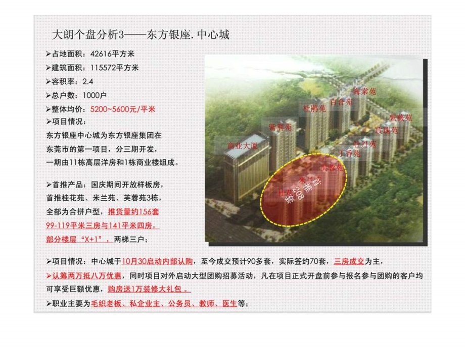 东莞保利红珊瑚整体营销定位策略报告2.ppt_第2页