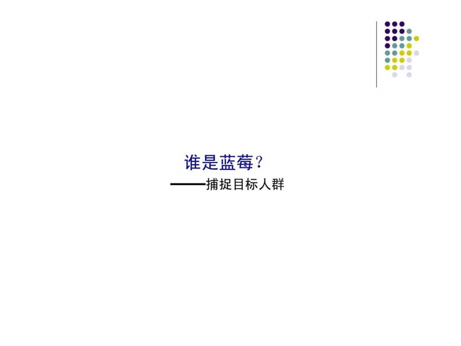 蓝莓公寓营销推广战略.ppt_第2页