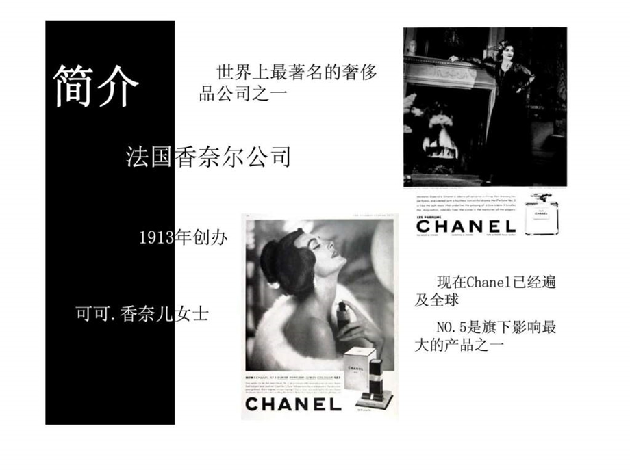 ChanelN1765营销策略分析.ppt_第2页