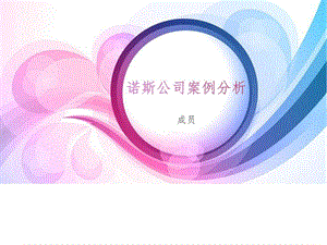 诺斯公司案例分析金融投资经管营销专业资料.ppt.ppt