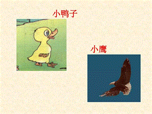 课文14自己去吧.ppt.ppt