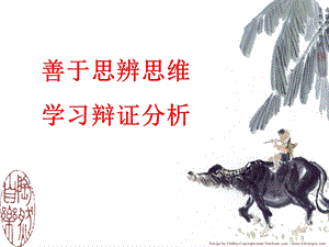 学习辩证分析.ppt