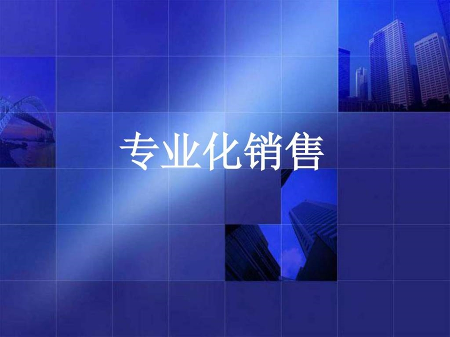 专业化销售图文.ppt.ppt_第2页