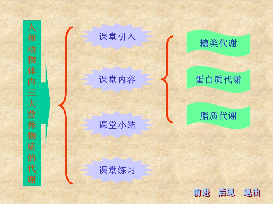 人体内三大物质的代谢.ppt_第2页