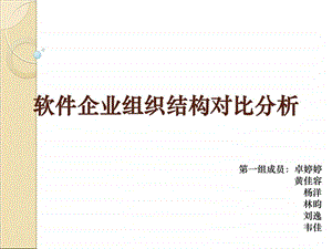 软件企业组织结构分析.ppt