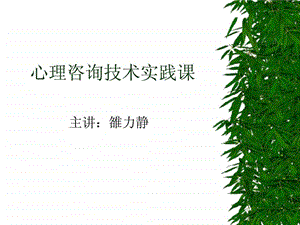 心理咨询技术实践课.ppt