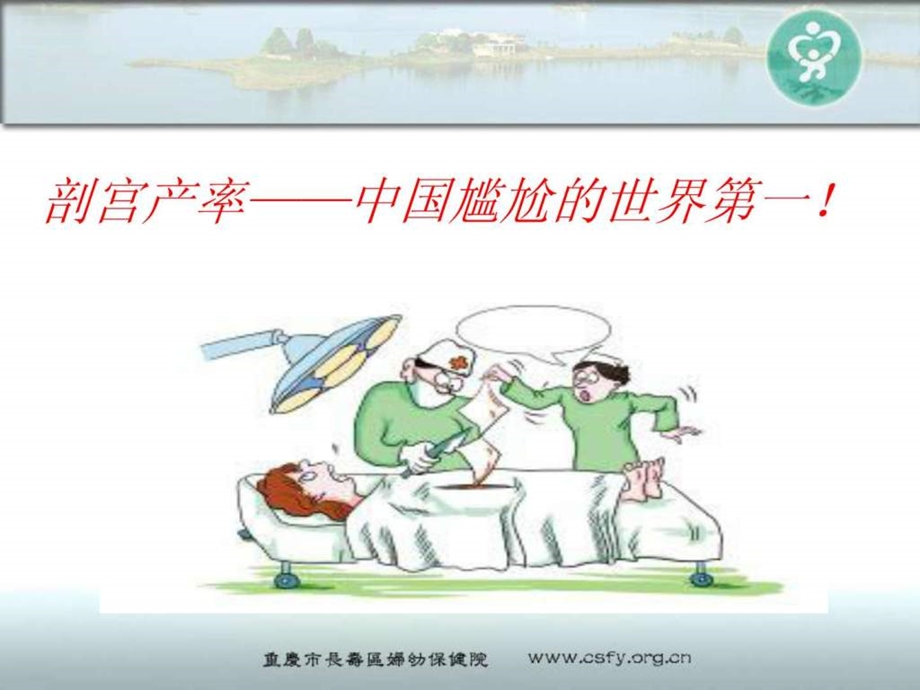 剖宫产现状分析.ppt.ppt_第2页