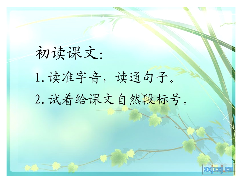 温柔的手（吴瑞芝修改稿）.ppt_第3页