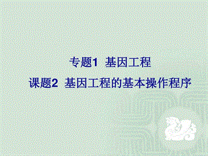 基因工程的基本操作程序图文.ppt.ppt