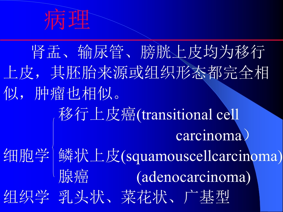 6肾盂输尿管膀胱癌.ppt_第2页