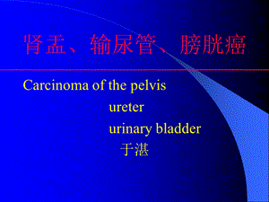 6肾盂输尿管膀胱癌.ppt