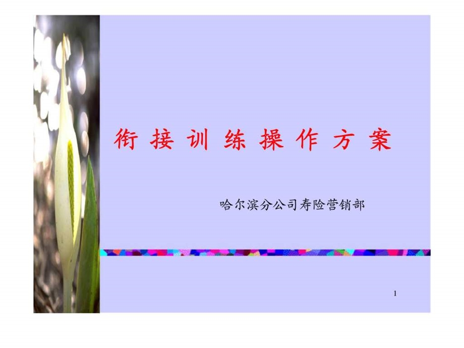 衔接训练操作方案.ppt_第1页