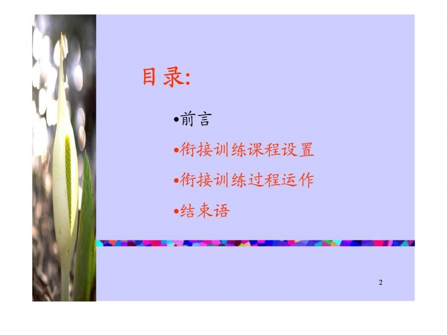 衔接训练操作方案.ppt_第2页