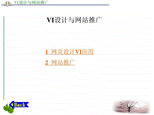 vi设计与网站推广.ppt