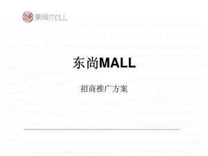 石家庄东尚MALL招商推广方案.ppt