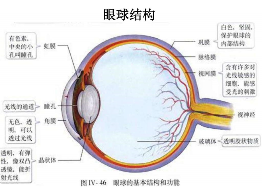 爱护眼睛点滴做起图文.ppt.ppt_第2页