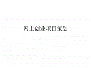 网上创业项目策划.ppt.ppt