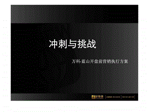 长万科蓝山开盘前营销执行方案.ppt