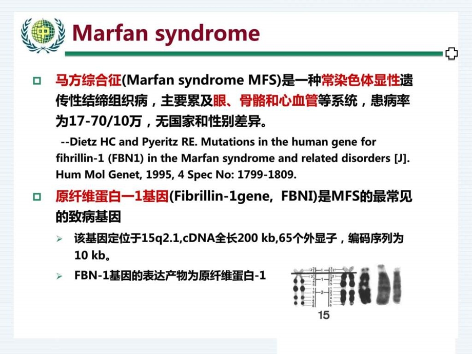 马凡综合征的诊治图文.ppt.ppt_第3页