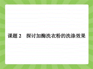 4.2探讨加酶洗衣粉的洗涤效果图文.ppt.ppt