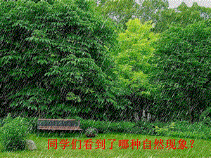 苏教四年级上册《桂花雨》课件.ppt