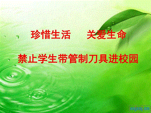 珍惜生命管制刀具主题班会幻灯片.ppt.ppt