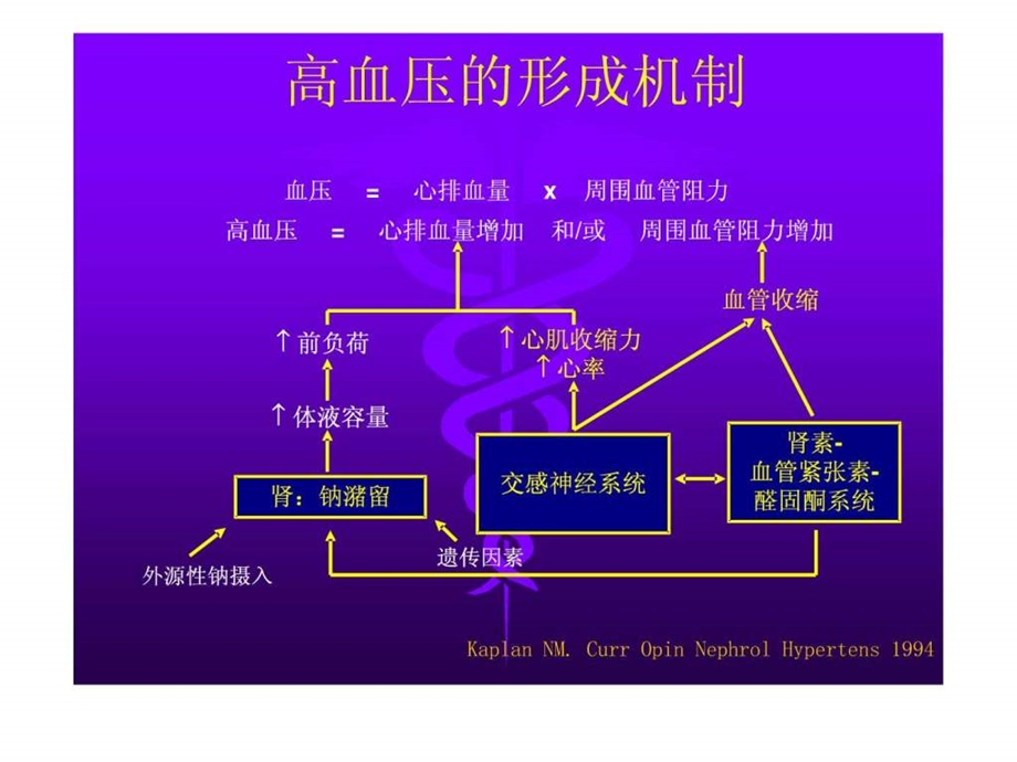 高血压社区管理.ppt.ppt_第3页