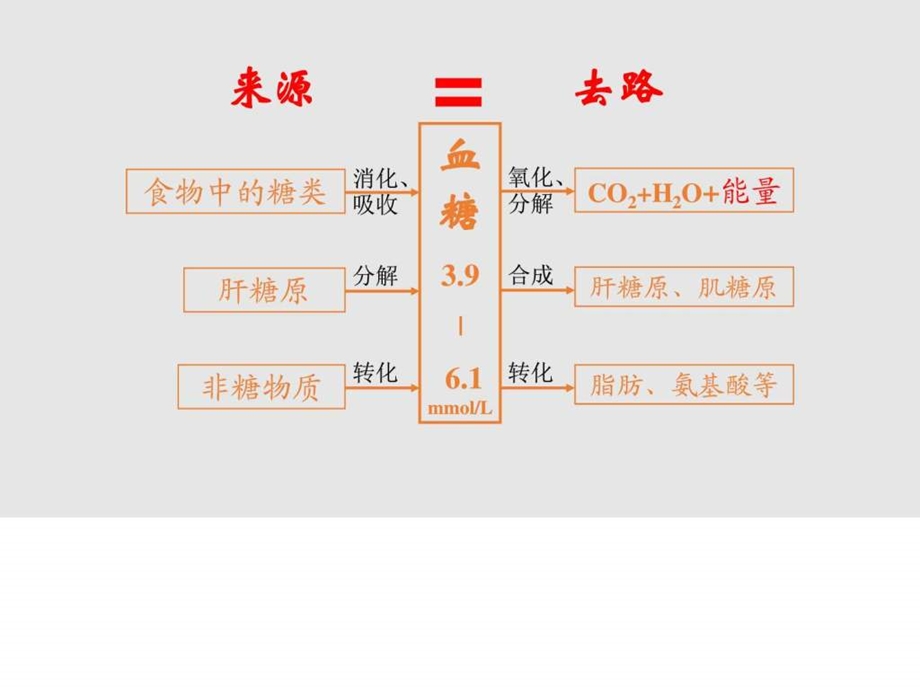 血糖平衡的调节图文1560440416.ppt.ppt_第3页