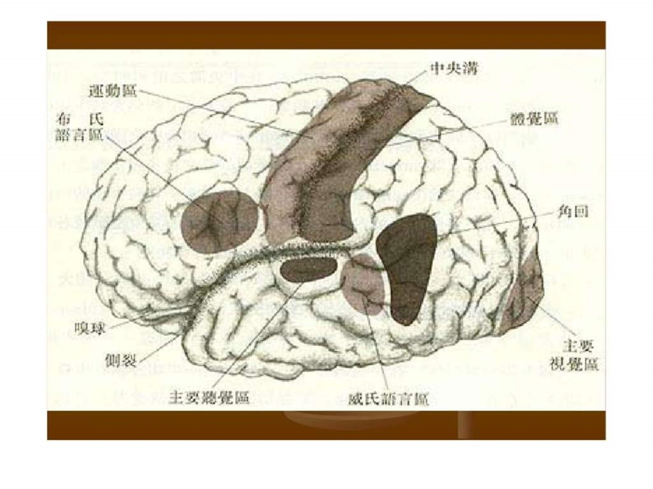 领导力建设与人际沟通技巧.ppt_第3页