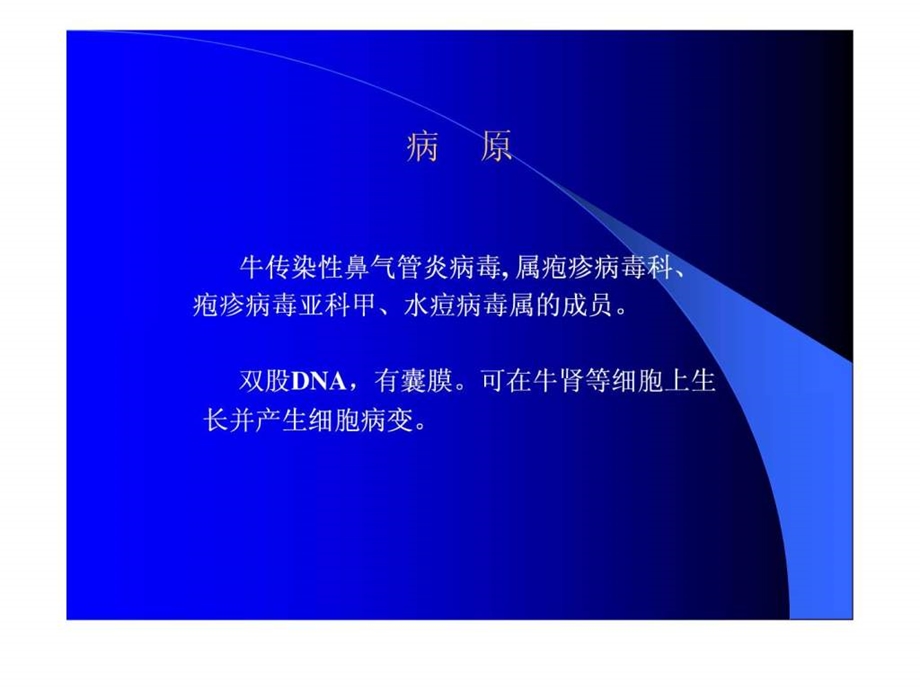 牛传染性鼻气管炎.ppt.ppt_第3页