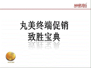 终端促销制胜宝典.ppt