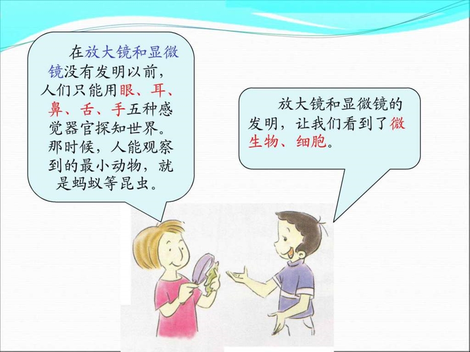 微小世界和我们PPT图文.ppt.ppt_第3页