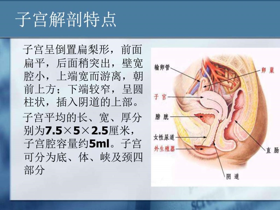 剖宫产手术图文.ppt.ppt_第3页