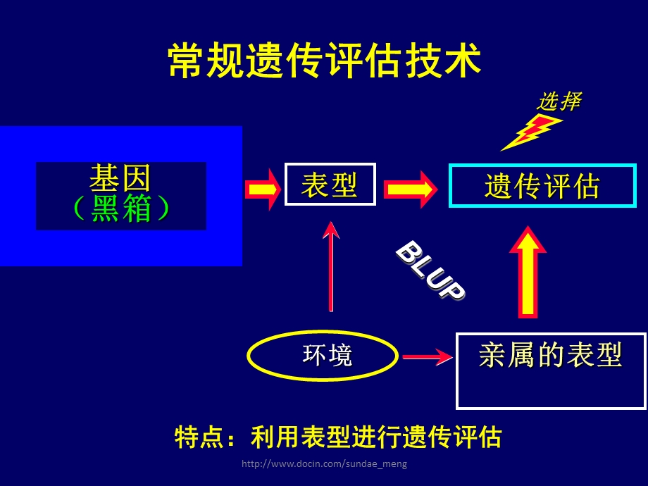 大学课件基因组时代的动物遗传评估技术P35.ppt_第3页