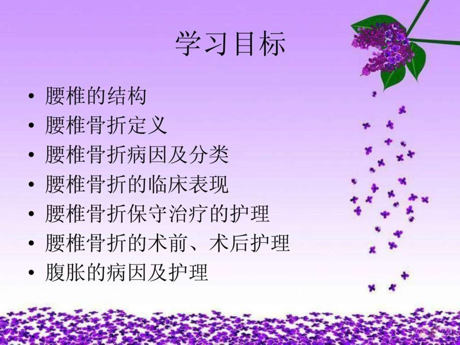 腰椎骨折图文.ppt.ppt_第2页