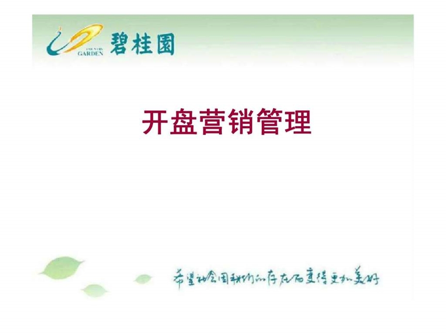 碧桂园开盘前推广.ppt_第1页